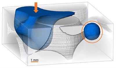 Incorporating bubble evolution and transport in constitutive relationships for quasi- and non-equilibrium two-phase flows in porous media